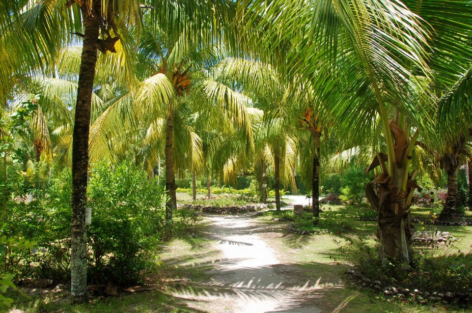 La Digue Veuve Reserve, La Digue Island, Seychelles